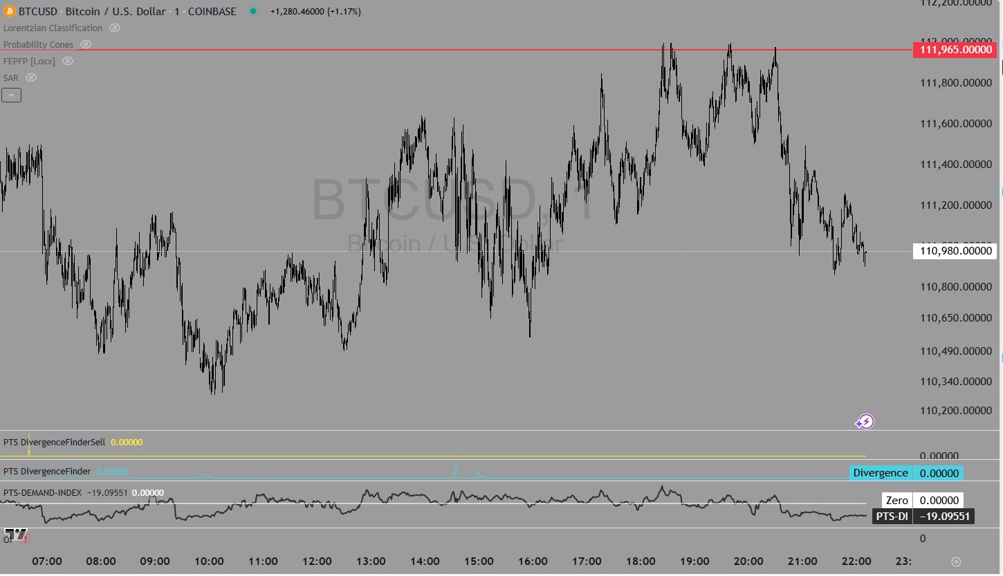 Predicting the future or reliving the past - Demand Index 30 Path Estimator on Bitcoin