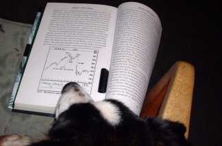 Fletcher studying Elliot wave theory Fletcher studying Elliot wave theory