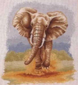 Elephant Stampede
